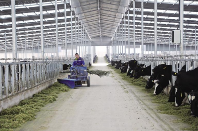 【图片新闻】华池县甘肃陇牛康源牧业万头奶牛养殖示范区项目